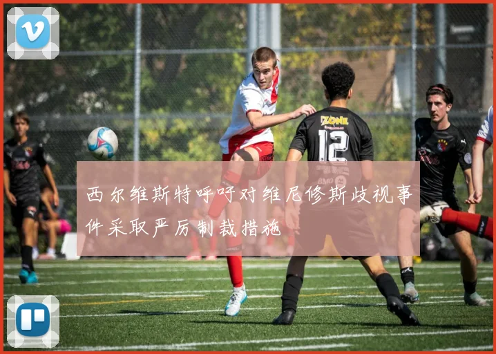 西尔维斯特呼吁对维尼修斯歧视事件采取严厉制裁措施
